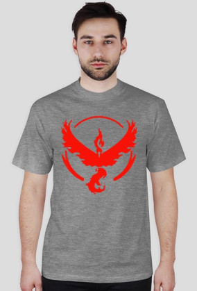 Team Valor-Koszulka Męska