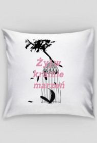 Żyj w krainie marzeń