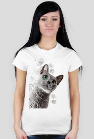 Kot - damska krótki rękaw