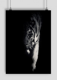 Tiger ART