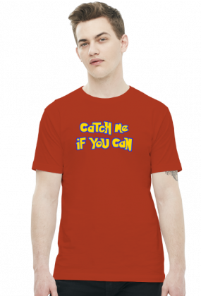 Pokemon - Catch me if you can