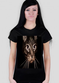 koszulka kot