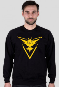 Team Instinct - bluza męska