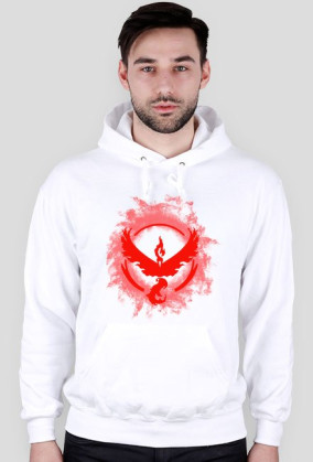 Team Valor - bluza męska z kapturem