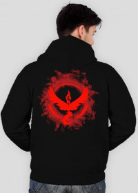 Team Valor - bluza męska z kapturem rozsuwana