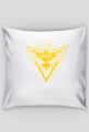 Team Instinct - poduszka