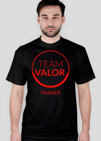 Team VALOR T-shirt