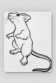 PODKŁADKA NA MYSZKE KOMPUTEROWĄ