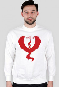 Bluza Team Valor WH/BL