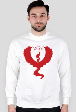 Bluza Team Valor WH/BL