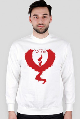 Bluza Team Valor WH/BL