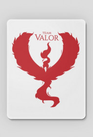 Podkładka Pod Myszkę Team Valor