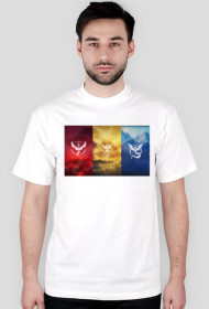Koszulka Pokemon Team