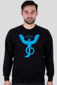 Bluza Team Mystic BL/WH
