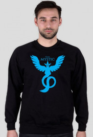 Bluza Team Mystic BL/WH