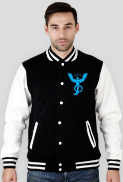 Bluza Team Mystic