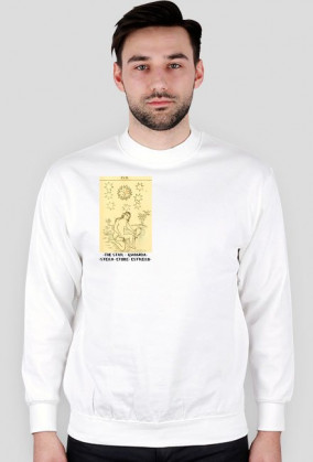 XVII ESTRELLA - GWIAZDA