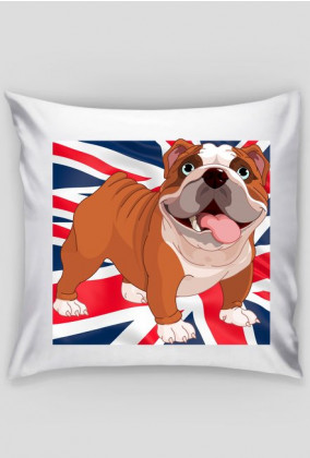 PODUSZKA | English Bulldog / Buldog Angielski