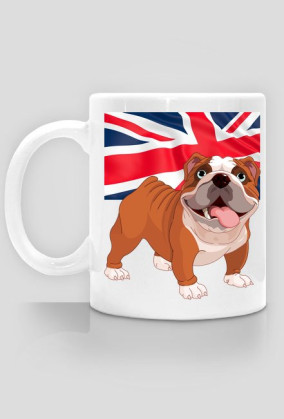 KUBEK | English Bulldog / Buldog Angielski