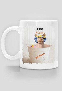 "Lejdi Kicia"