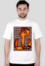 Polska Walcząca - Mur