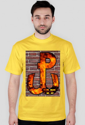 Polska Walcząca - Mur