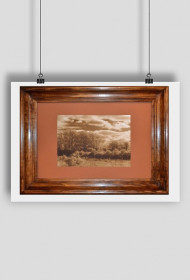 plakat "odległy las"