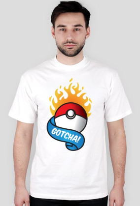 Pokeball Pokemon GO