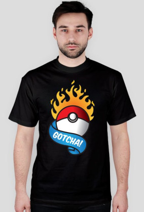 Pokeball Pokemon GO