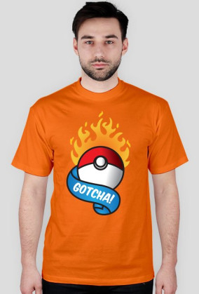 Pokeball Pokemon GO