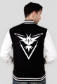 Pokemon Go Team Instinct Baseball bluza