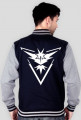 Pokemon Go Team Instinct Baseball bluza