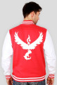 Pokemon Go Team Valor Baseball bluza