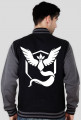 Pokemon Go Team Mystic Baseball bluza