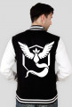 Pokemon Go Team Mystic Baseball bluza