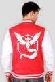 Pokemon Go Team Mystic Baseball bluza