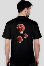 muscaria