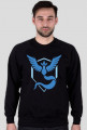 TEAM MYSTIC BLUZA MEN