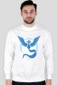 TEAM MYSTIC BLUZA MEN