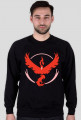 TEAM VALOR BLUZA MEN