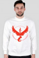 TEAM VALOR BLUZA MEN