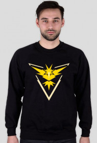 TEAM INSTINCT BLUZA MEN