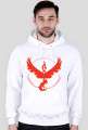 TEAM VALOR BLUZA Z KAPTUREM MEN