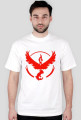 Team Valor