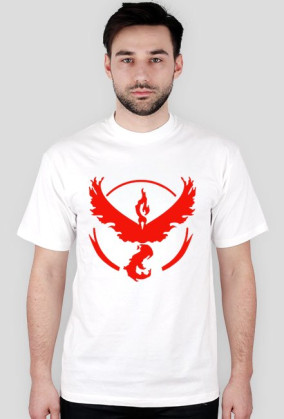 Team Valor