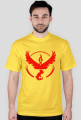 Team Valor