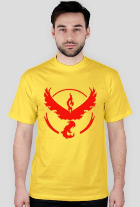 Team Valor