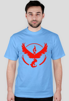 Team Valor