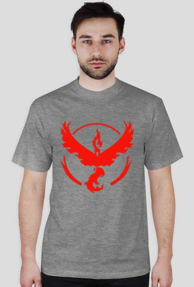 Team Valor