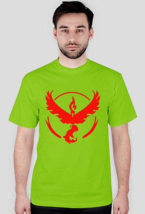 Team Valor